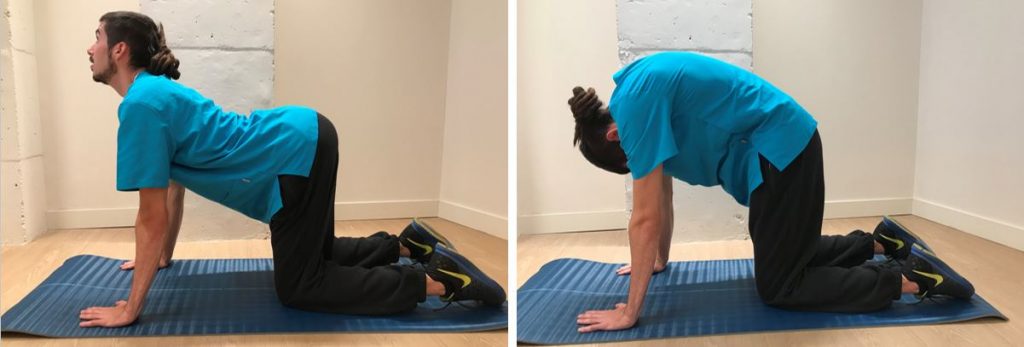 Mitos y realidades del dolor lumbar